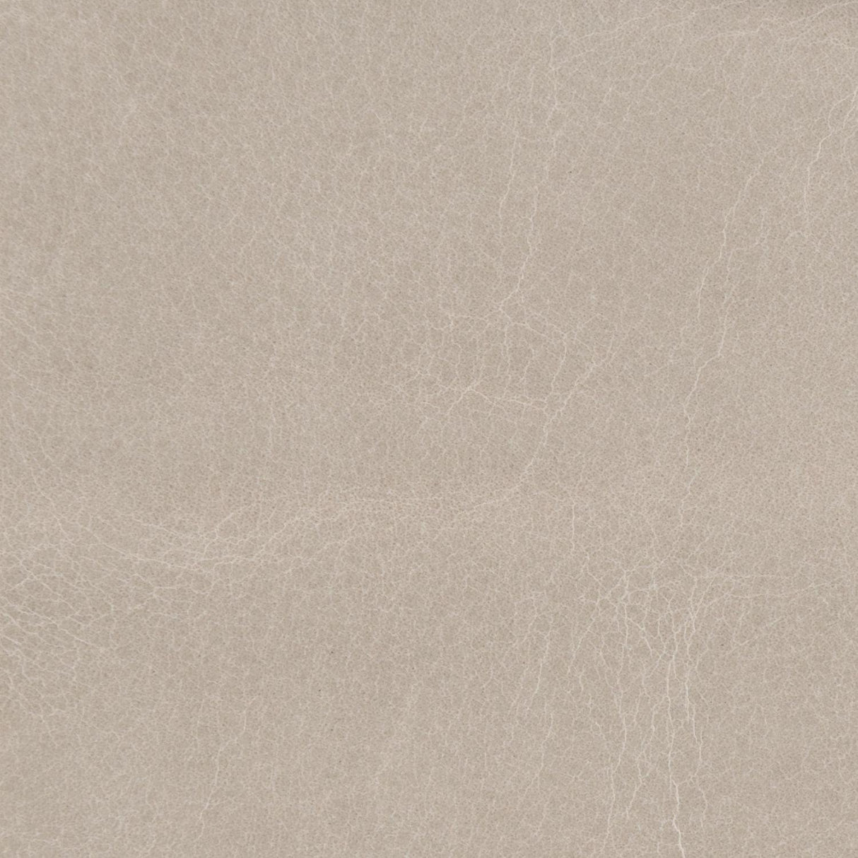 Kravet COUTURE L BADEN-CEMENT Upholstery Fabric