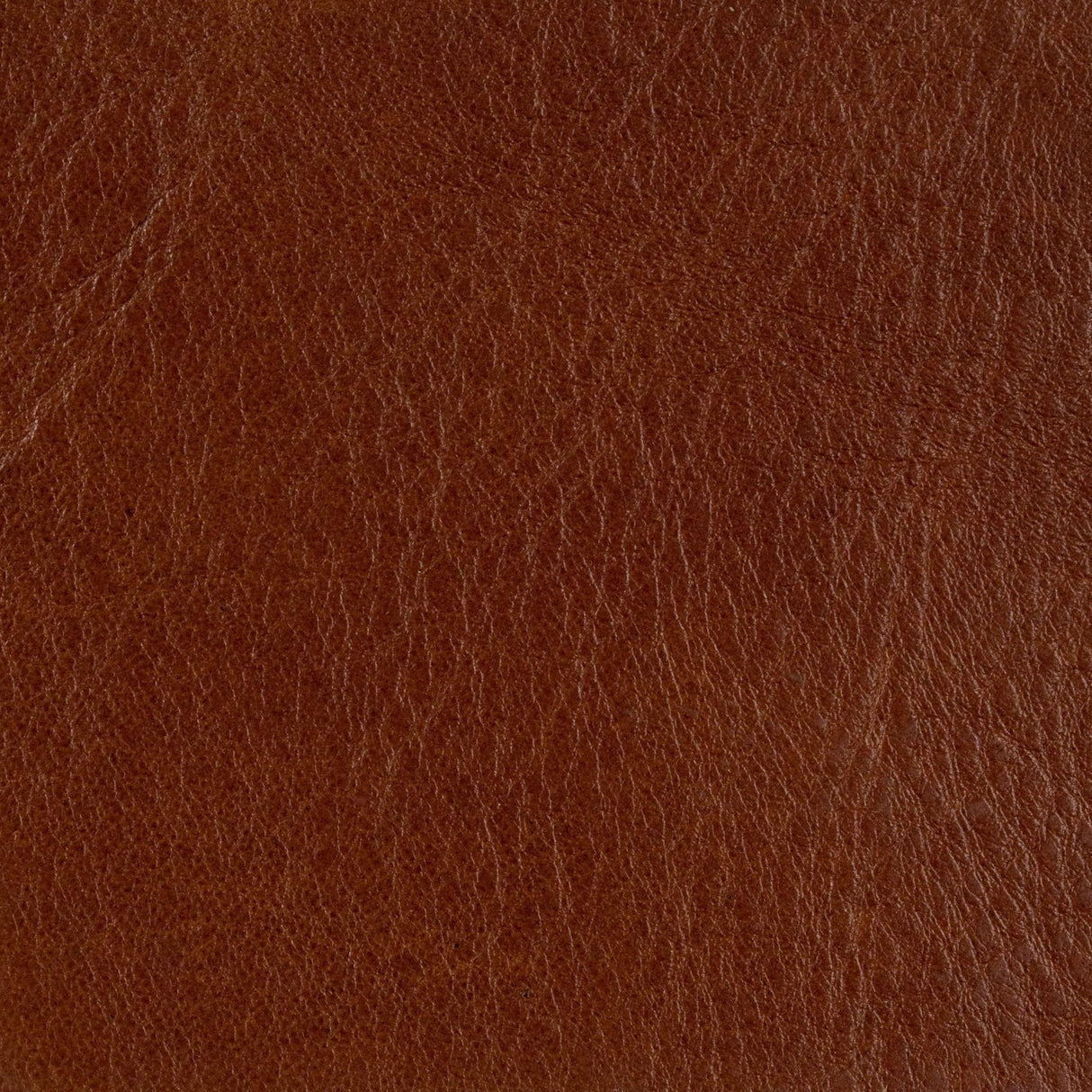 Kravet COUTURE L BROCKWAY-COCOA Upholstery Fabric