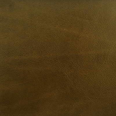 Kravet COUTURE L BROCKWAY-MOSS Upholstery Fabric