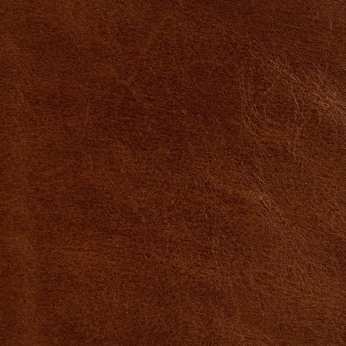 Kravet COUTURE L BROCKWAY-TOFFEE Upholstery Fabric