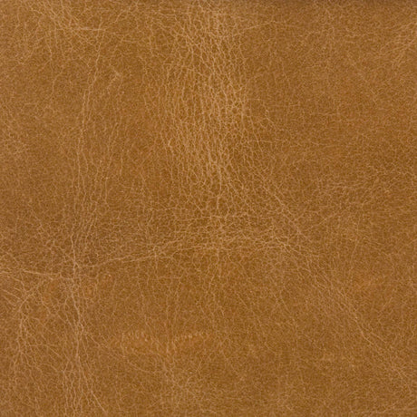 Kravet COUTURE L COSMO-BUCK Upholstery Fabric