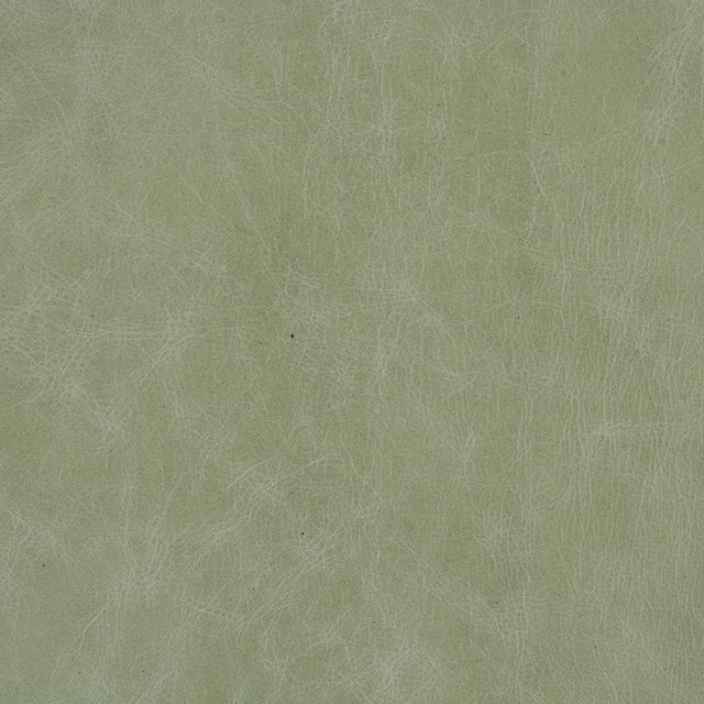 Kravet DESIGN L CUERO-EUCALYPTUS Upholstery Fabric