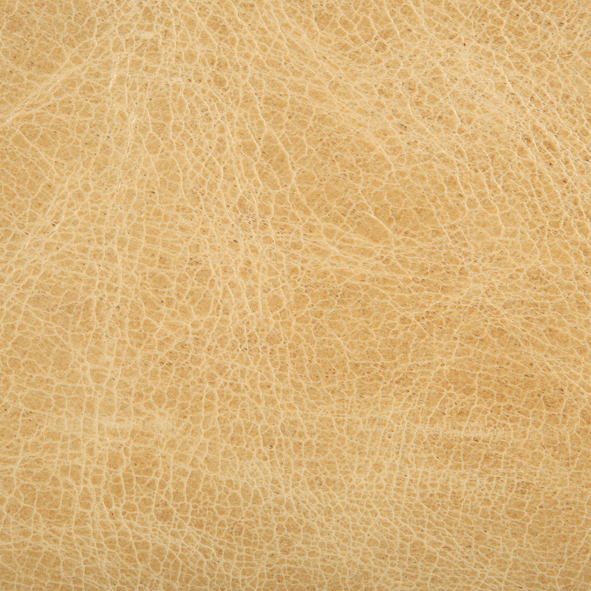 Kravet COUTURE L HAUTE-BLONDE Upholstery Fabric