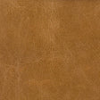 Kravet COUTURE L HAUTE-CAMEL Upholstery Fabric