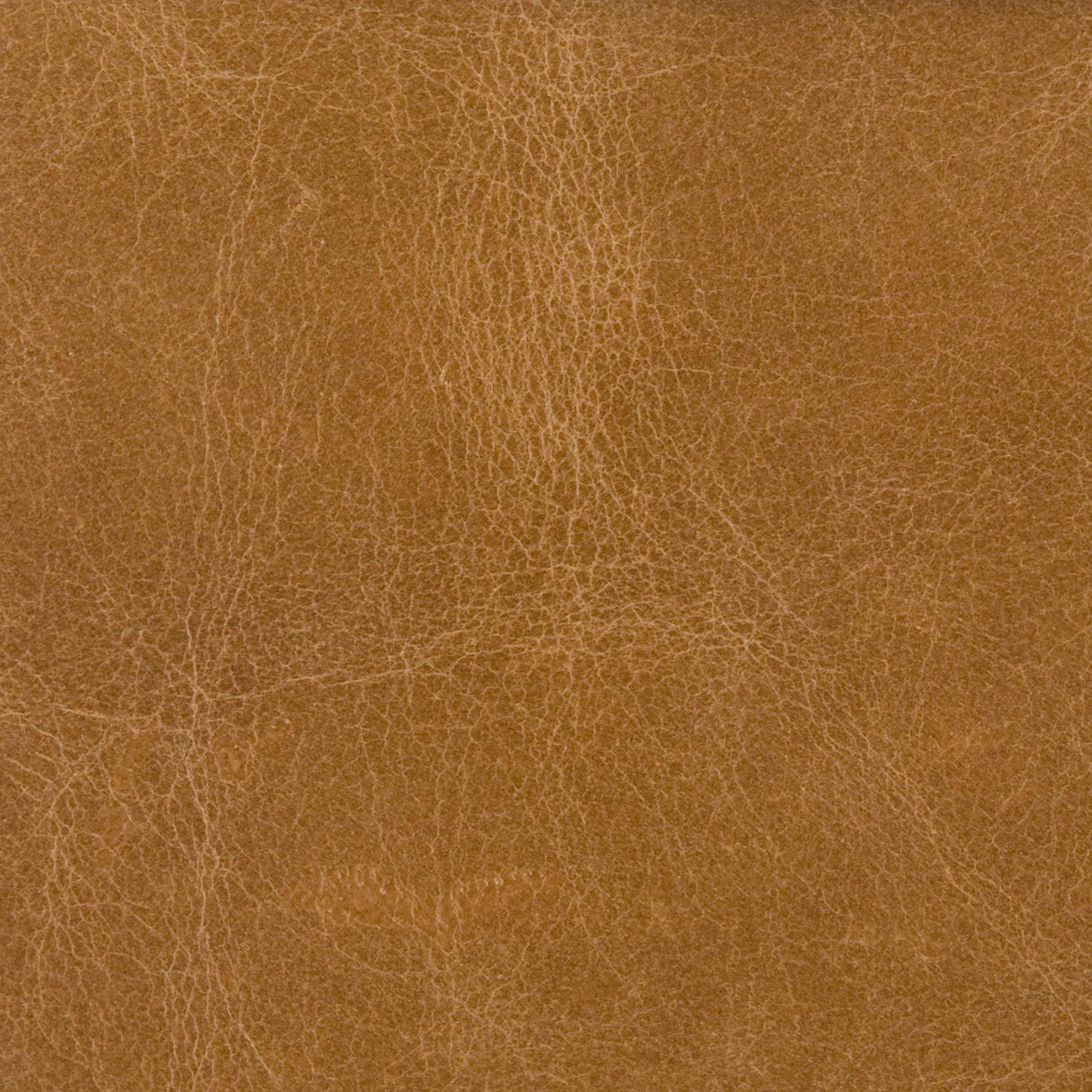 Kravet COUTURE L HAUTE-CAMEL Upholstery Fabric