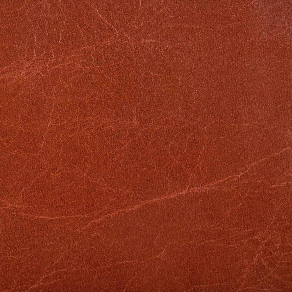 Kravet COUTURE L HAUTE-MADDER Upholstery Fabric