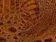 Kravet COUTURE L MADRID-SPICE Upholstery Fabric