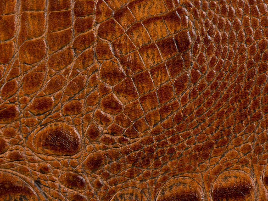 Kravet COUTURE L MADRID-SPICE Upholstery Fabric