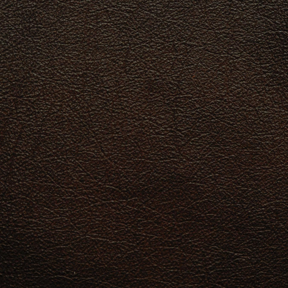 Kravet DESIGN L PORTOFIN-CHOCOLATE Upholstery Fabric