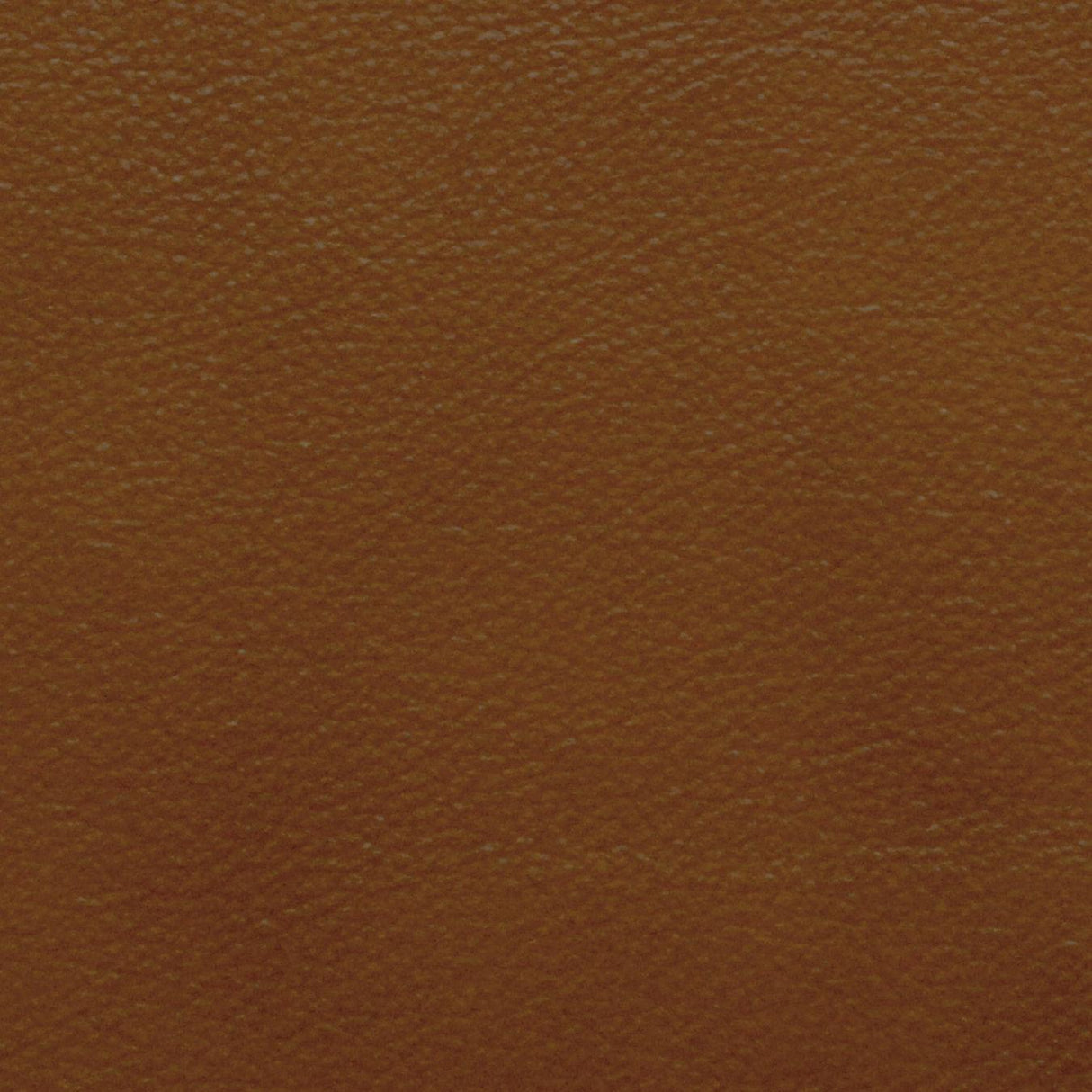 Kravet DESIGN L PORTOFIN-COGNAC Upholstery Fabric