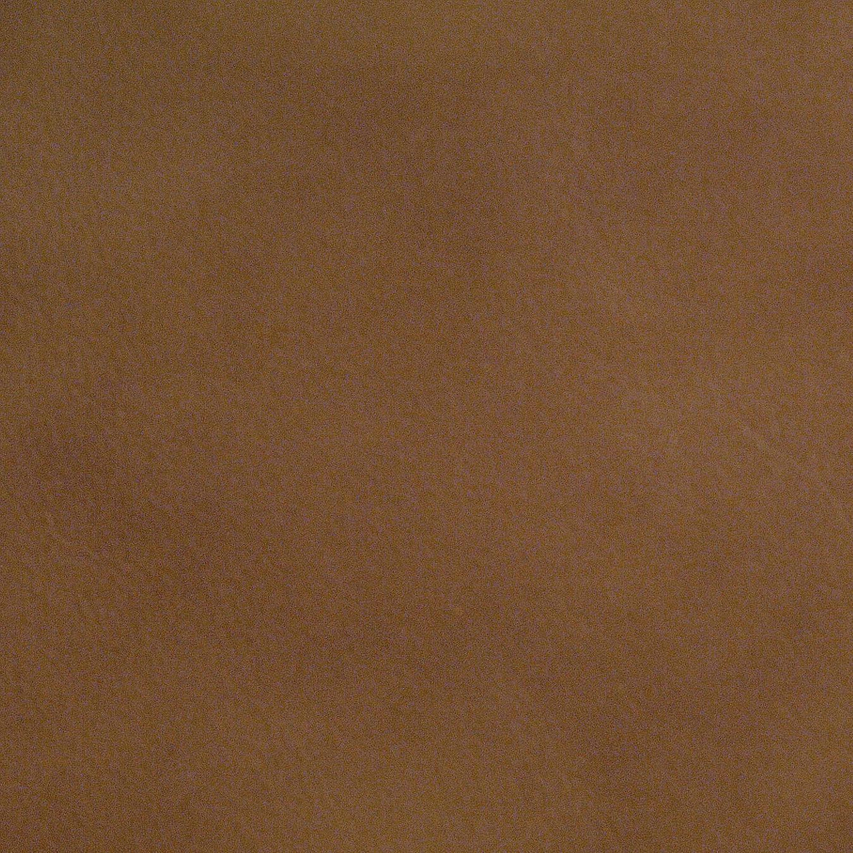 Kravet DESIGN L PORTOFIN-DESERT Upholstery Fabric