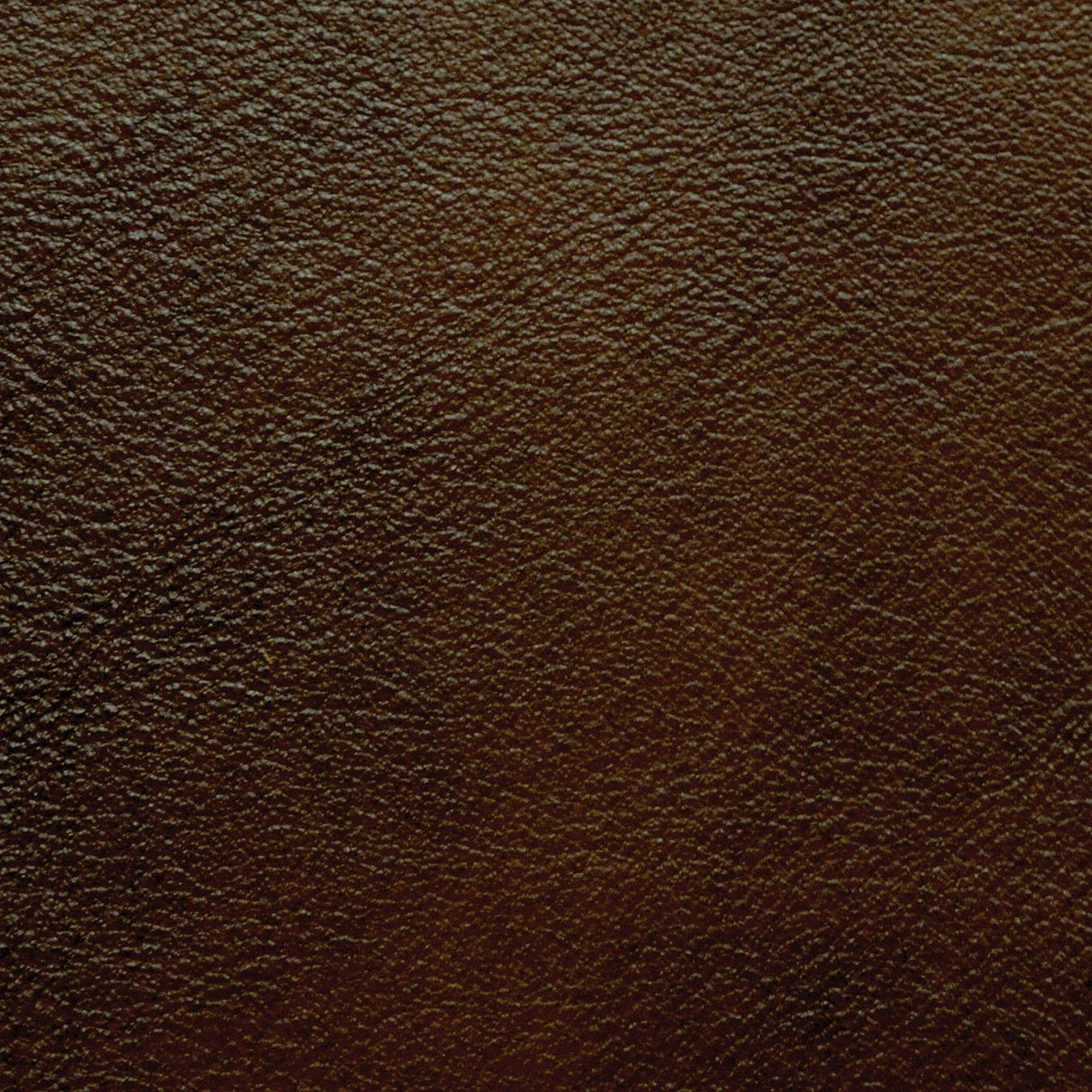 Kravet DESIGN L PORTOFIN-SABLE Upholstery Fabric