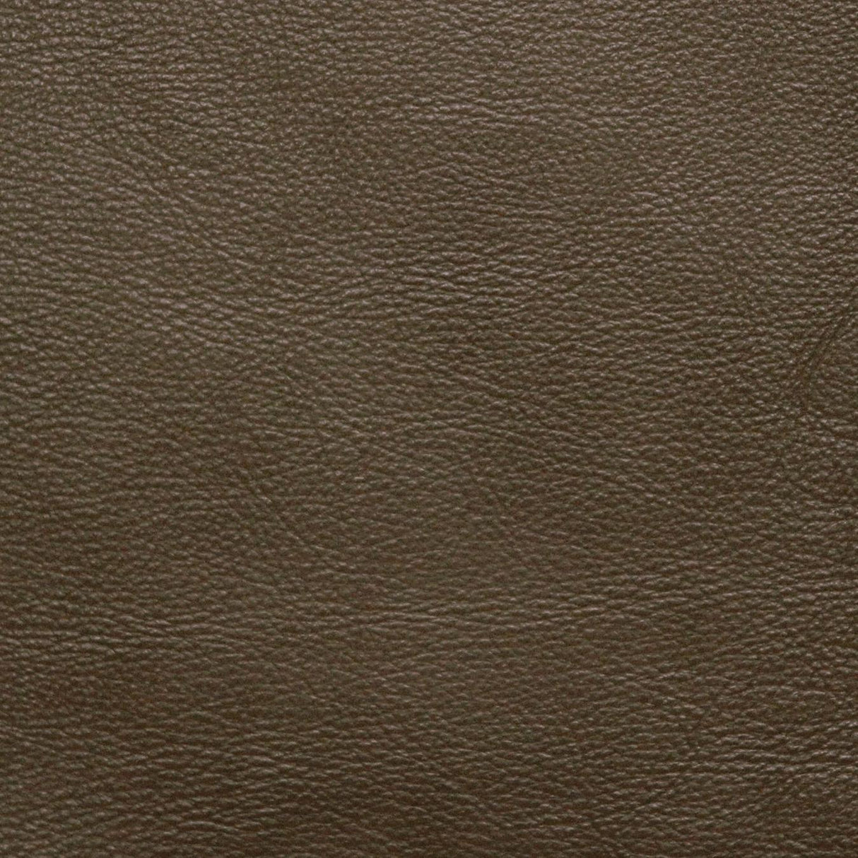 Kravet DESIGN L PORTOFIN-SAGE Upholstery Fabric