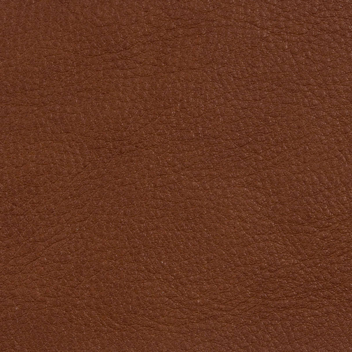 Kravet L-RANGE COFFEE Upholstery Fabric