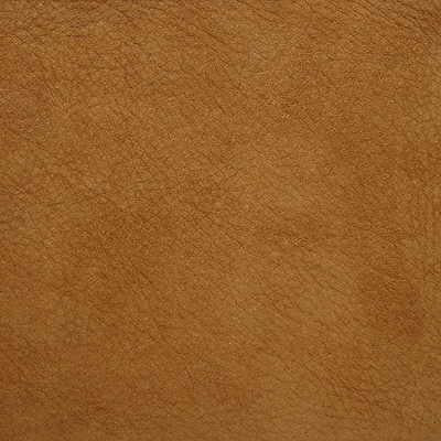 Kravet DESIGN L SAGUARO-SAND Upholstery Fabric