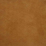 Kravet DESIGN L SAGUARO-SAND Upholstery Fabric