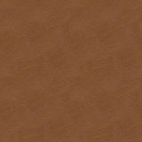 Kravet DESIGN L TIMELESS-DESERT Upholstery Fabric