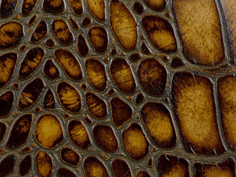 Kravet L-TUSCANY HAZELNUT Upholstery Fabric