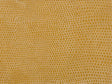 Kravet L-VAVOOM COIN Upholstery Fabric
