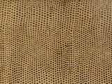 Kravet L-VAVOOM TAWNY Upholstery Fabric