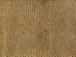 Kravet L-VAVOOM TAWNY Upholstery Fabric