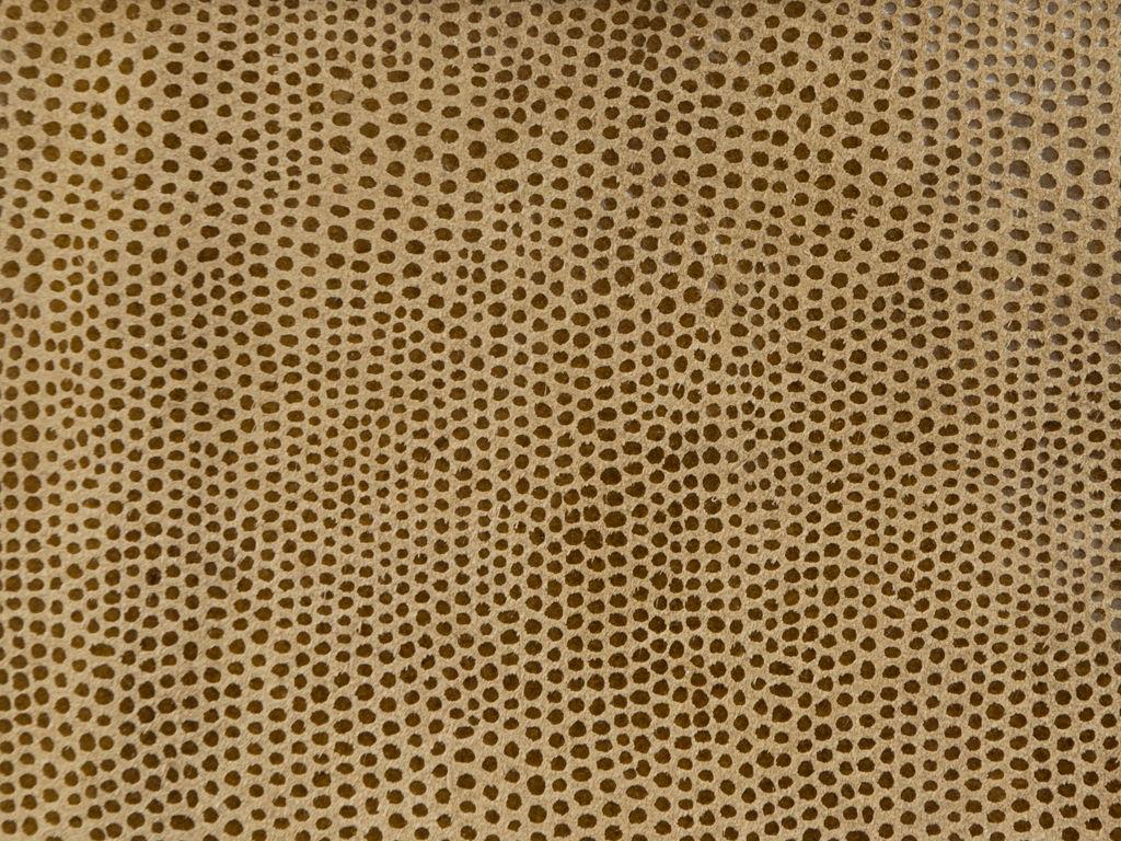 Kravet L-VAVOOM TAWNY Upholstery Fabric