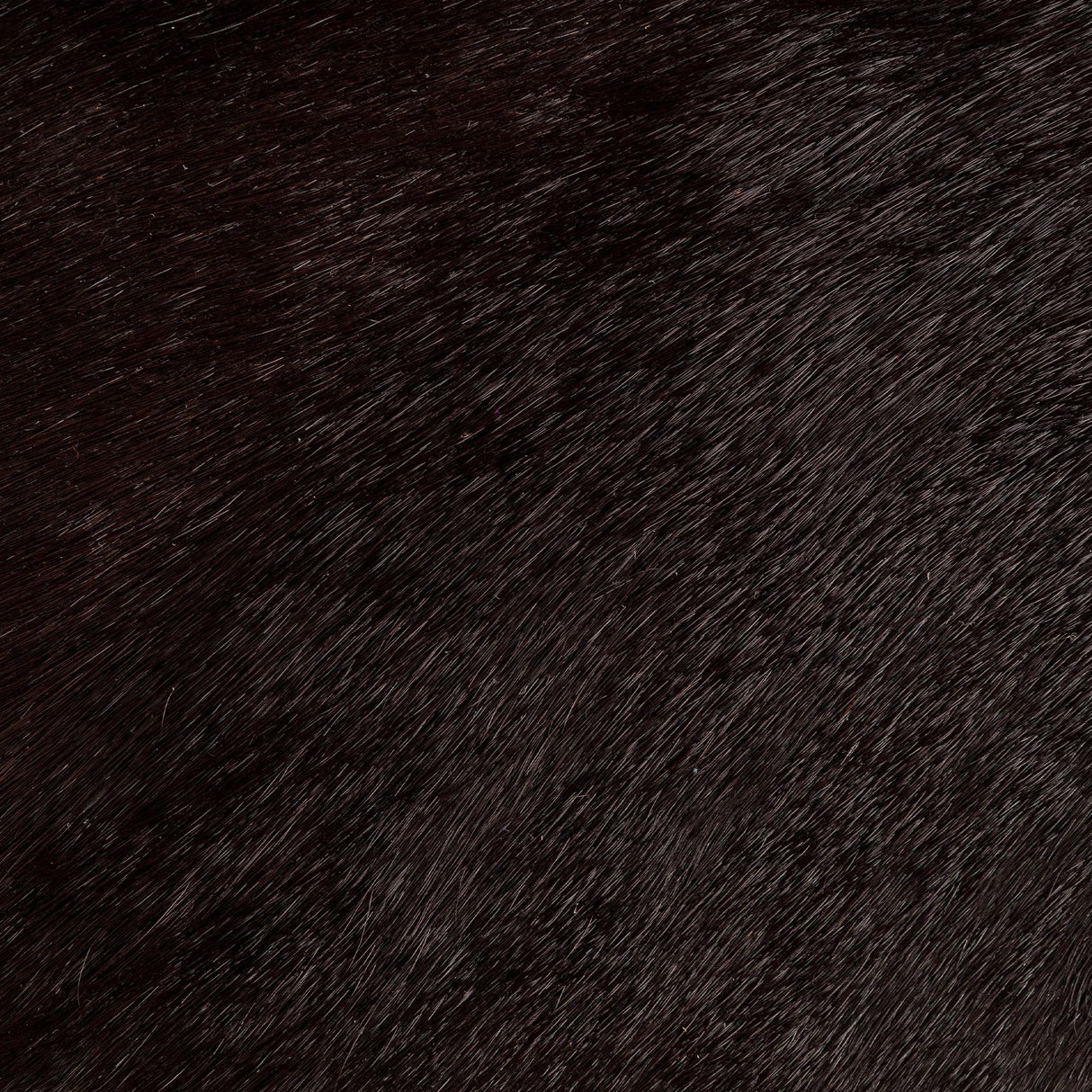 Donghia HIDEOUT LEATHER EBONY Upholstery Fabric