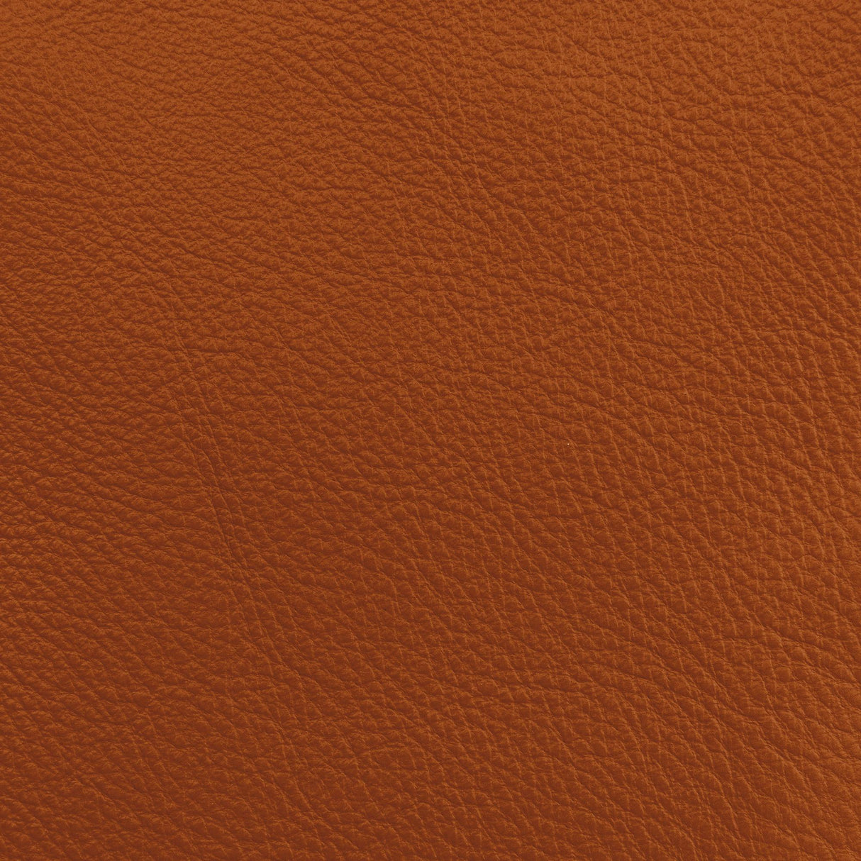 Donghia LUCKY LEATHER ADOBE Upholstery Fabric