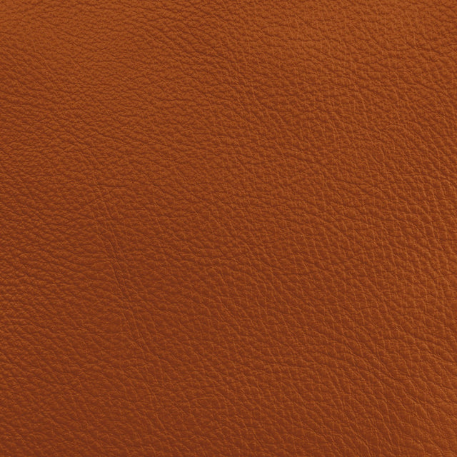Donghia LUCKY LEATHER ADOBE Upholstery Fabric