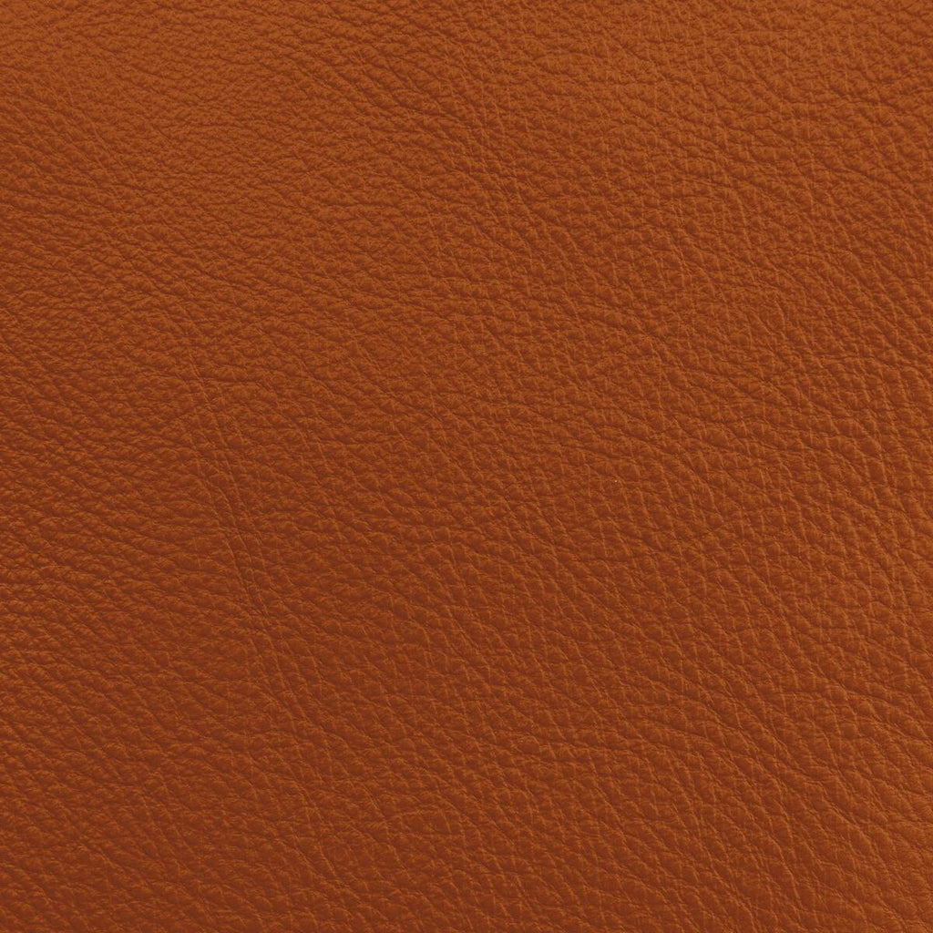 Donghia LUCKY LEATHER ADOBE Fabric