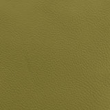 Donghia LUCKY LEATHER CACTUS Upholstery Fabric