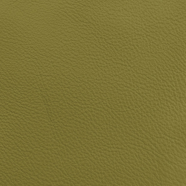 Donghia LUCKY LEATHER CACTUS Upholstery Fabric