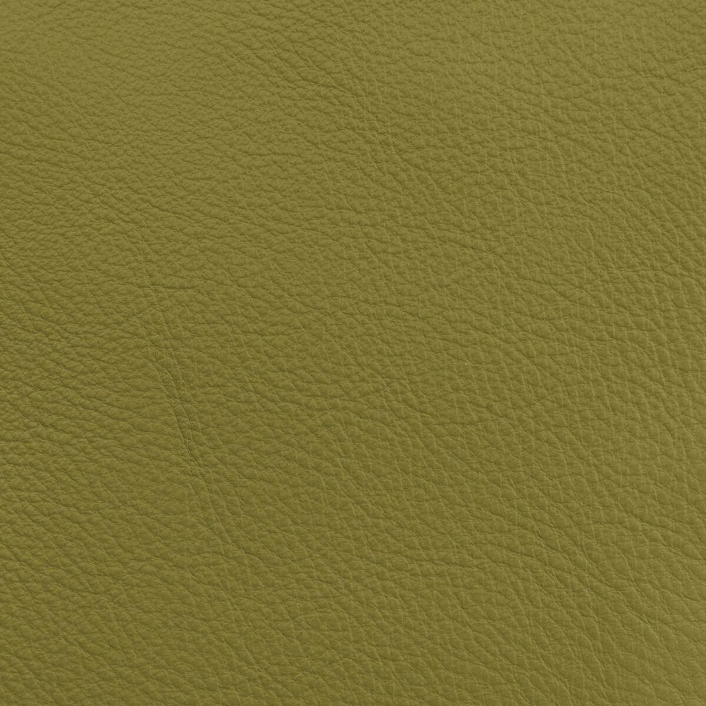Donghia LUCKY LEATHER CACTUS Fabric