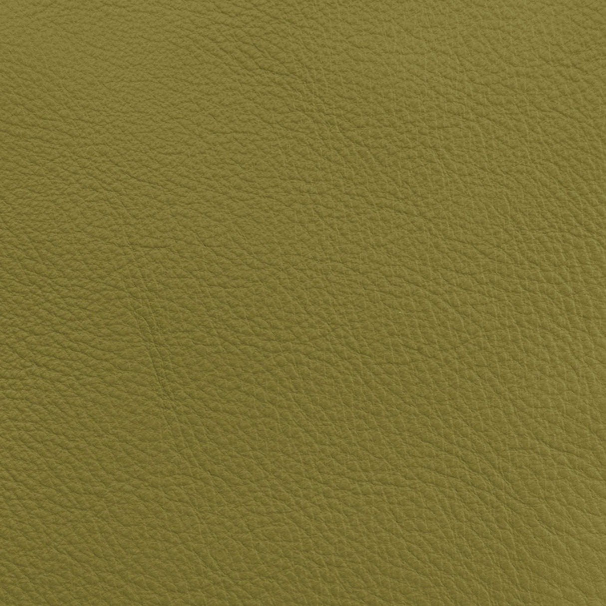 Donghia LUCKY LEATHER CACTUS Upholstery Fabric