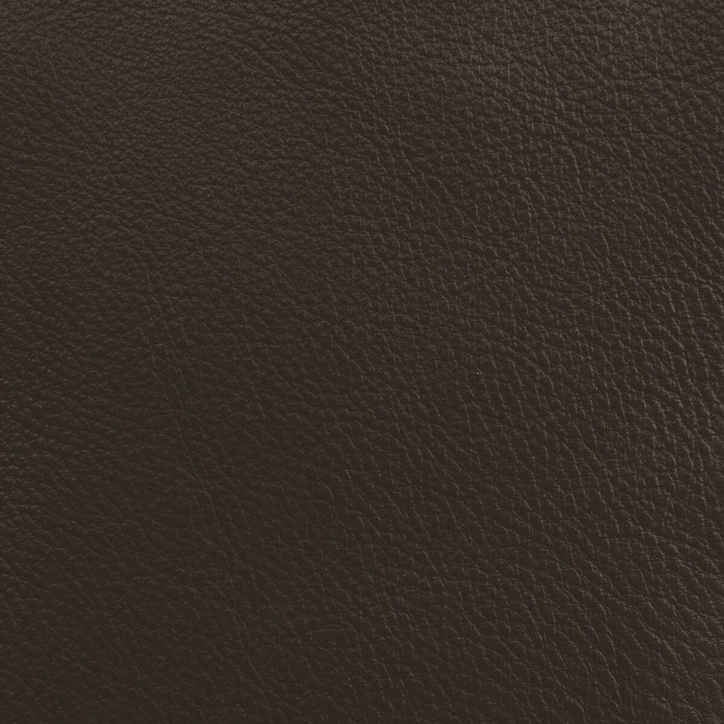 Donghia LUCKY LEATHER TOBACCO Fabric