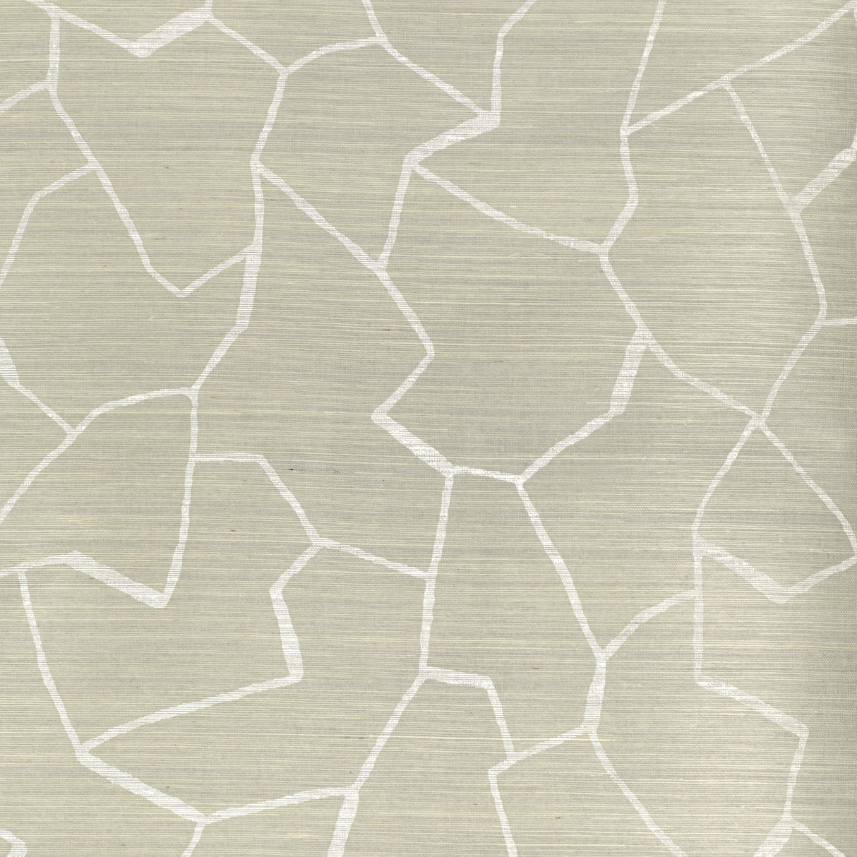 Donghia W-BARK CLOTH CLOUD Wallpaper
