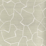 Donghia W-BARK CLOTH CLOUD Wallpaper