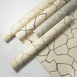 Donghia W-BARK CLOTH CLOUD Wallpaper