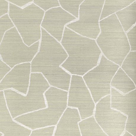 Donghia W-BARK CLOTH CLOUD Wallpaper
