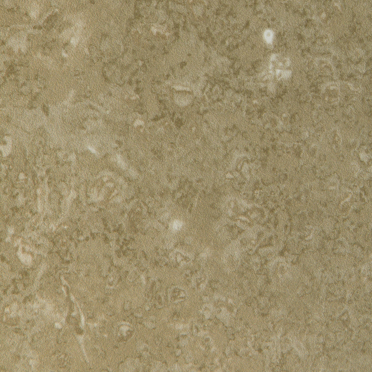 Donghia MARBLEOUS FOSSIL Wallpaper