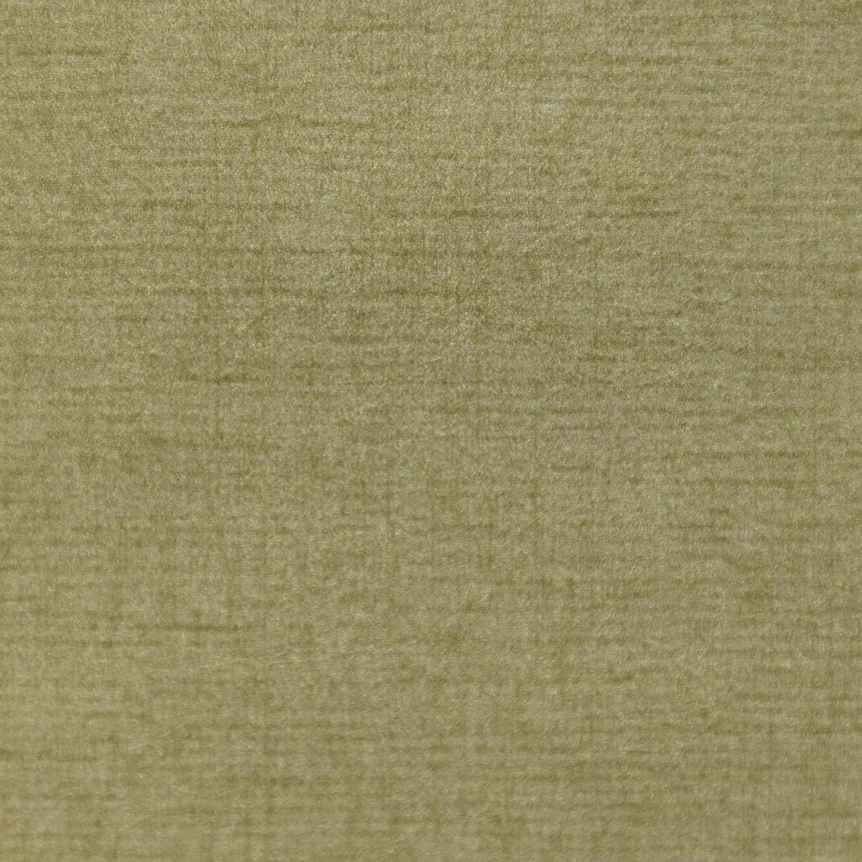 Donghia GLOW UP GOLD Wallpaper