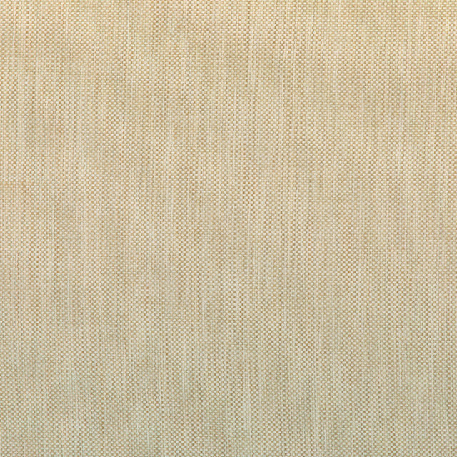 Kravet SMART 37016 166 Upholstery Fabric