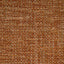 Donghia HANGING AROUND APRICOT Drapery Fabric