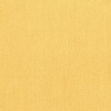 Donghia GLACE BANANA Upholstery Fabric