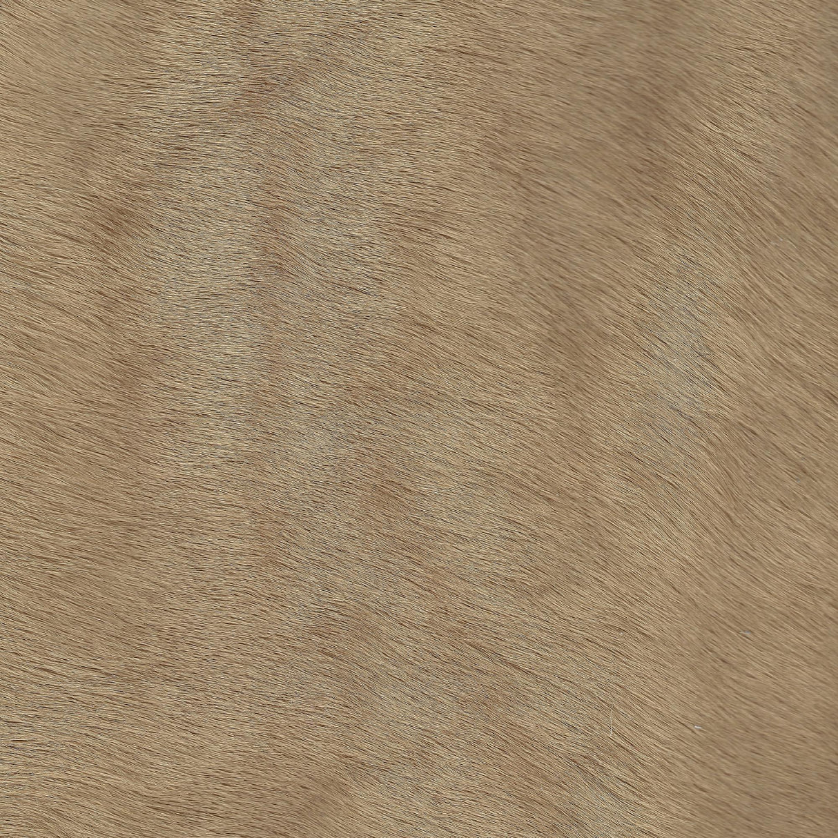 Donghia HIDEOUT LEATHER CAMEL Upholstery Fabric