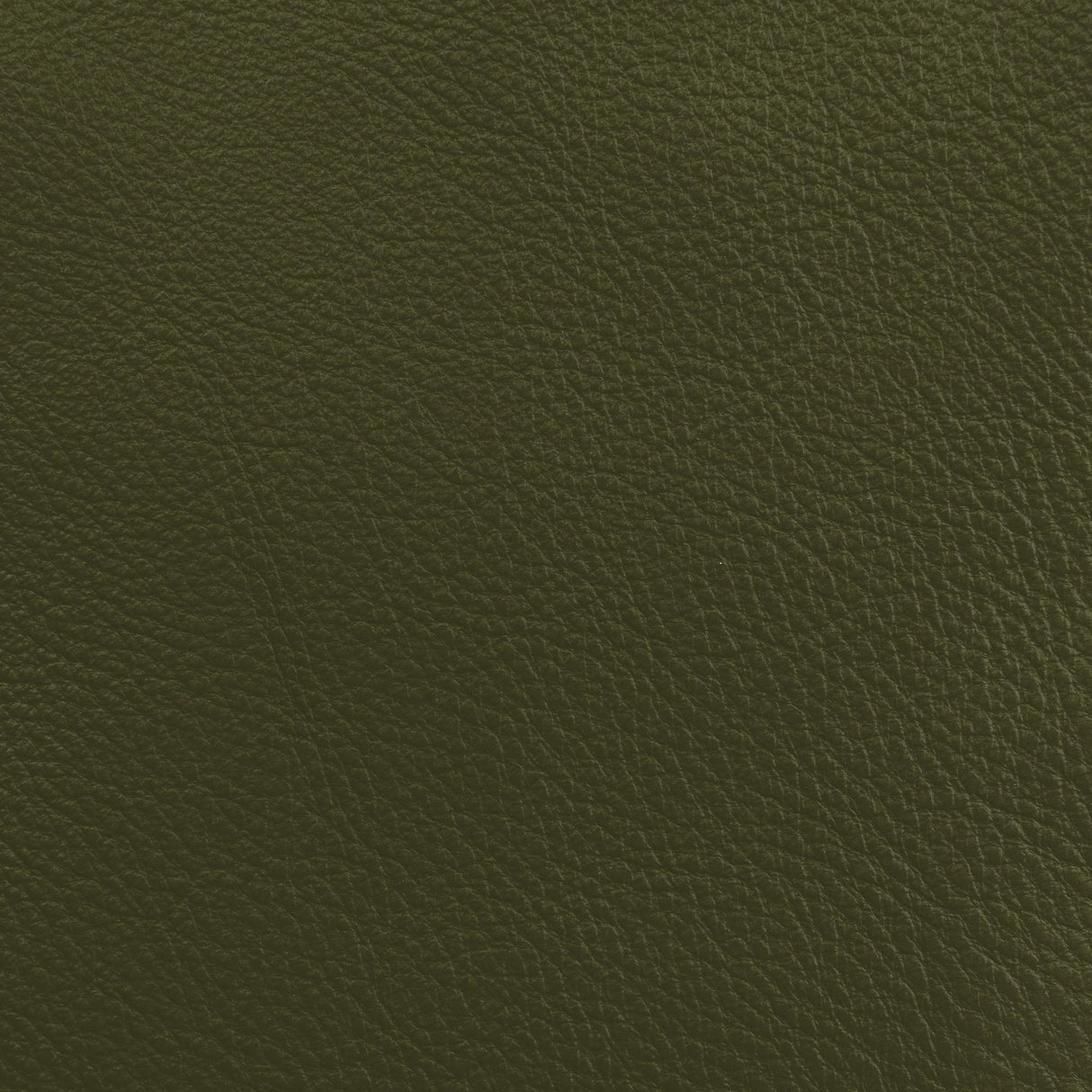 Donghia LUCKY LEATHER LICHEN Upholstery Fabric