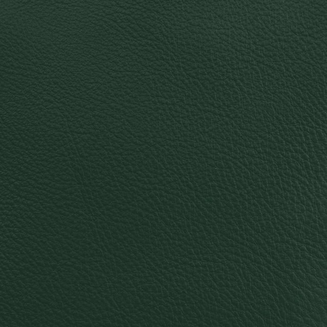 Donghia LUCKY LEATHER SPRUCE Upholstery Fabric