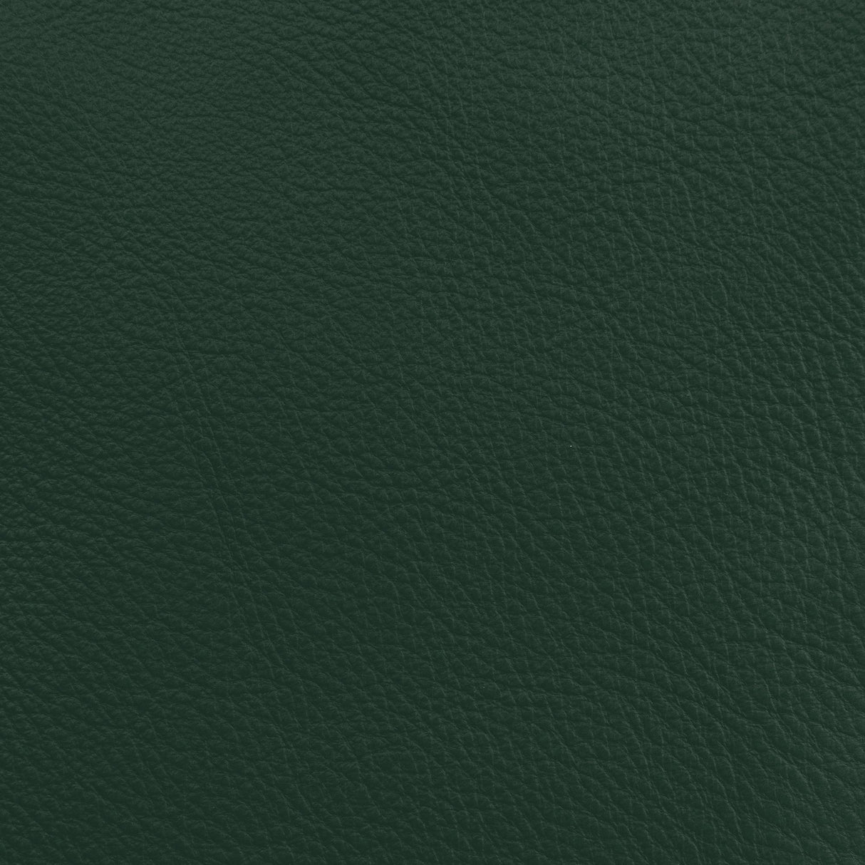 Donghia LUCKY LEATHER SPRUCE Upholstery Fabric