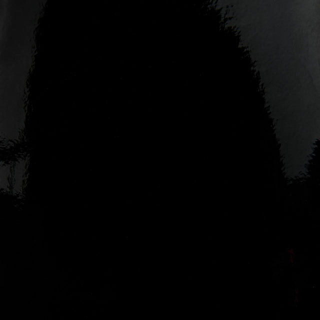 Donghia BLACK SWAN PATENT Upholstery Fabric