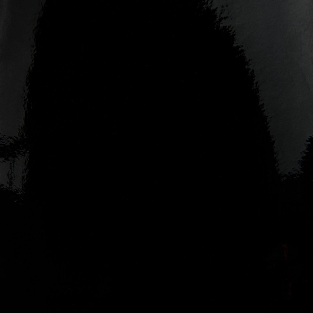 Donghia BLACK SWAN PATENT Upholstery Fabric